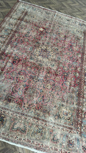 Bruce Rug